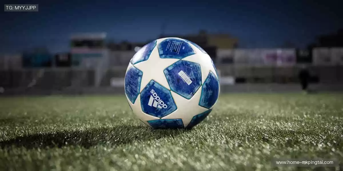 🏋️ 专业品质,助力每一次突破!💪